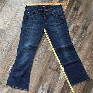 Hudson flared raw hem jeans
